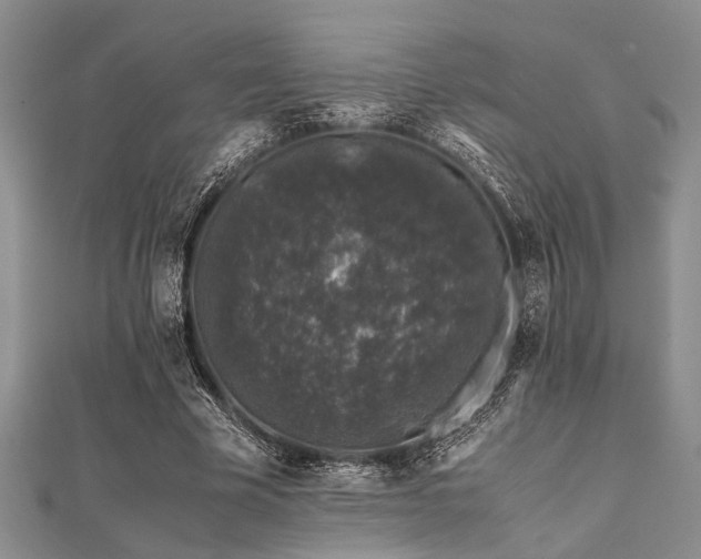 X0000112110585200908041543