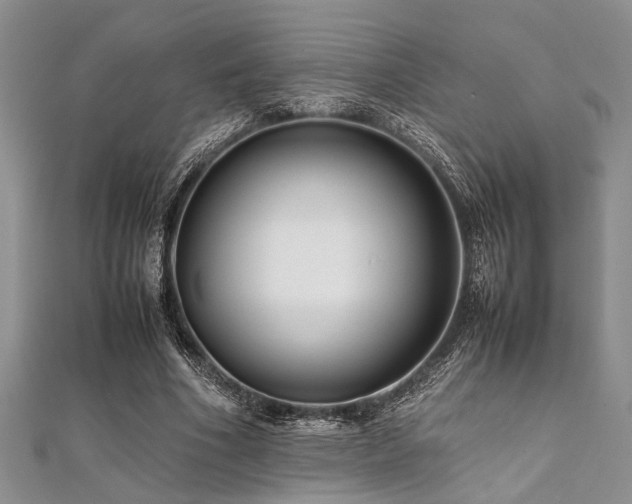 X0000112110586200908041543