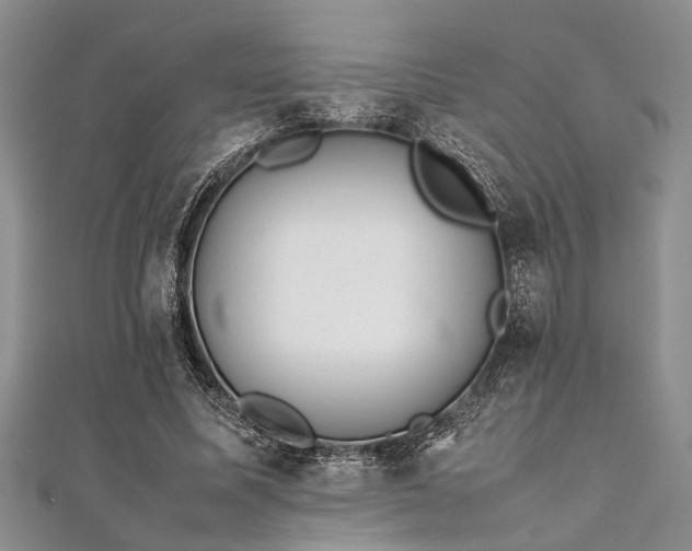 X0000112110587200908041543