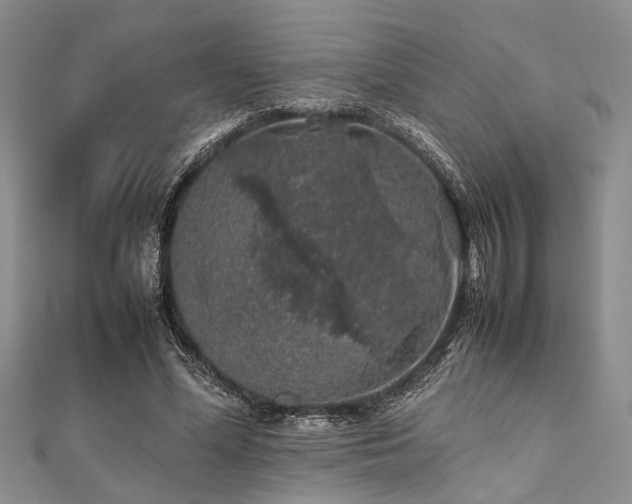 X0000112110588200908041543