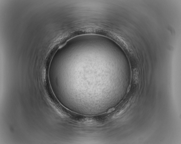 X0000112110589200908041543