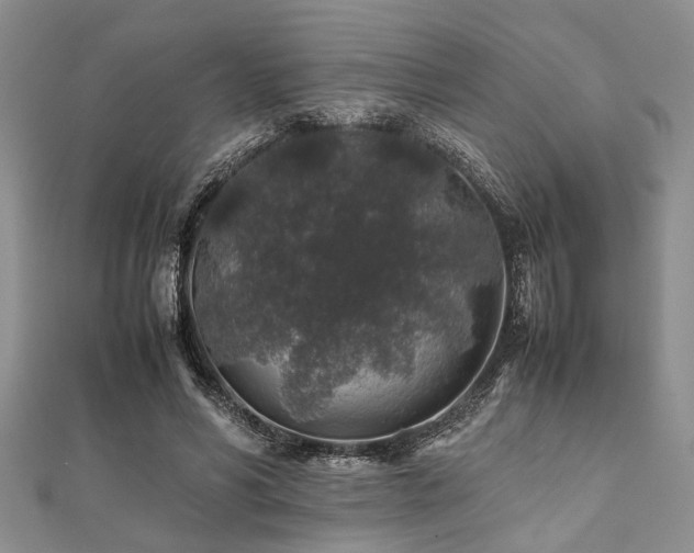 X0000112110590200908041543