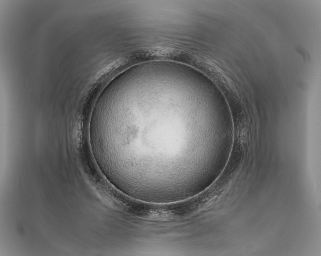 X0000112110591200908041543