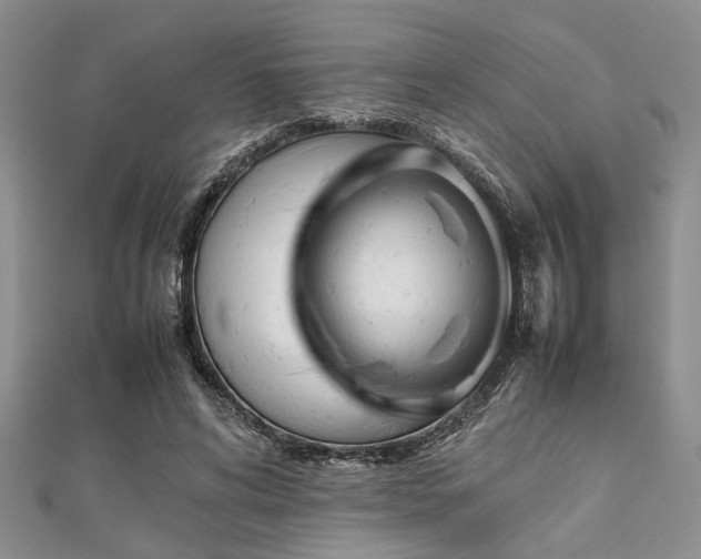 X0000112110592200908041543