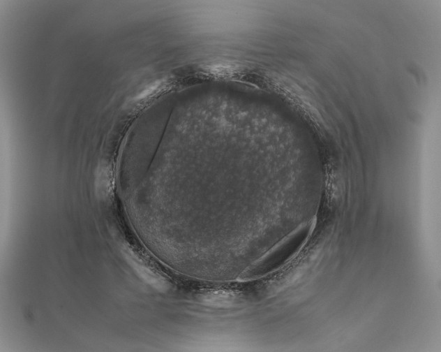 X0000112110593200908041543