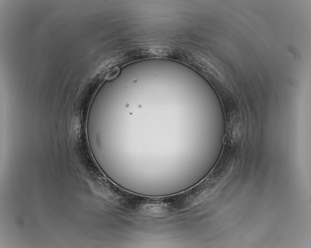 X0000112110595200908041543