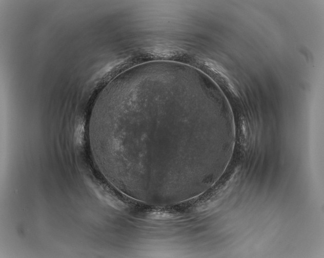 X0000112110596200908041543