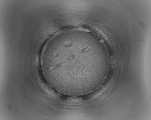 X0000112110597200908041543