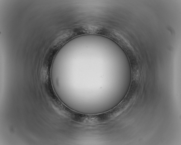 X0000112110599200908041543