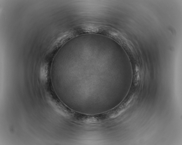 X0000112110600200908041543