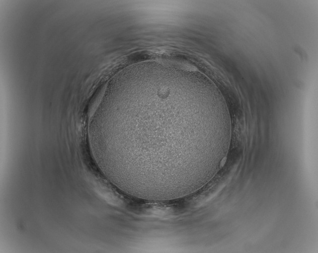 X0000112110601200908041543