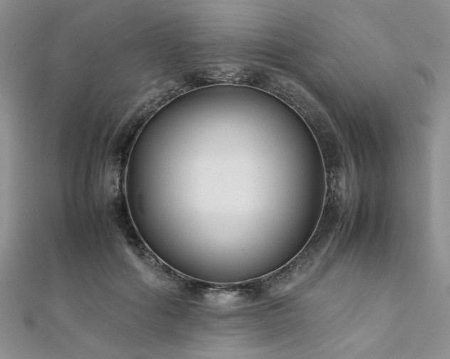 X0000112110602200908041543