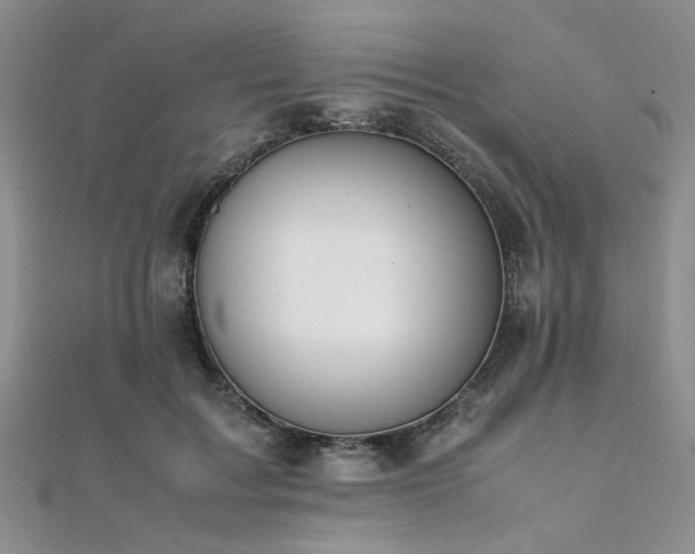 X0000112110603200908041543