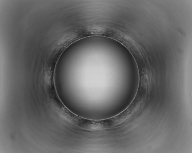 X0000112110604200908041543