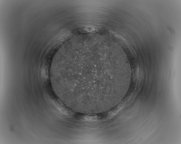 X0000112110606200908041543