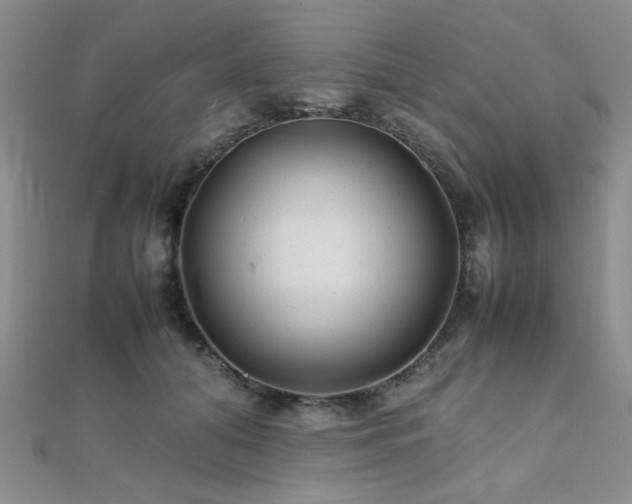 X0000112110608200908041542