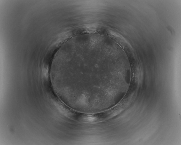 X0000112110610200908041542