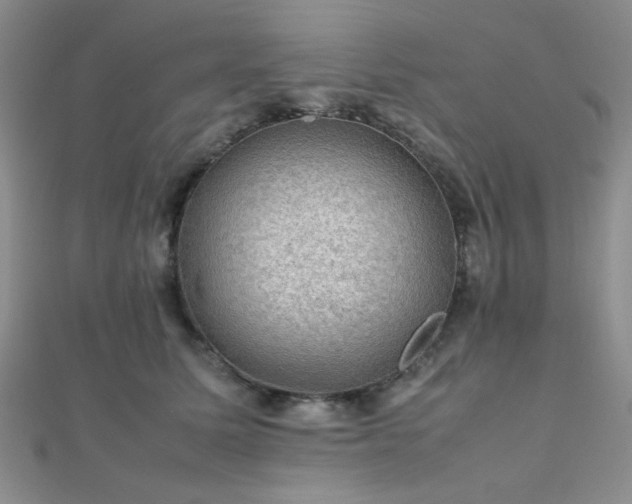 X0000112110611200908041542