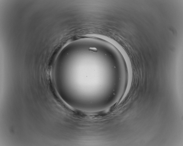 X0000112110613200908041542