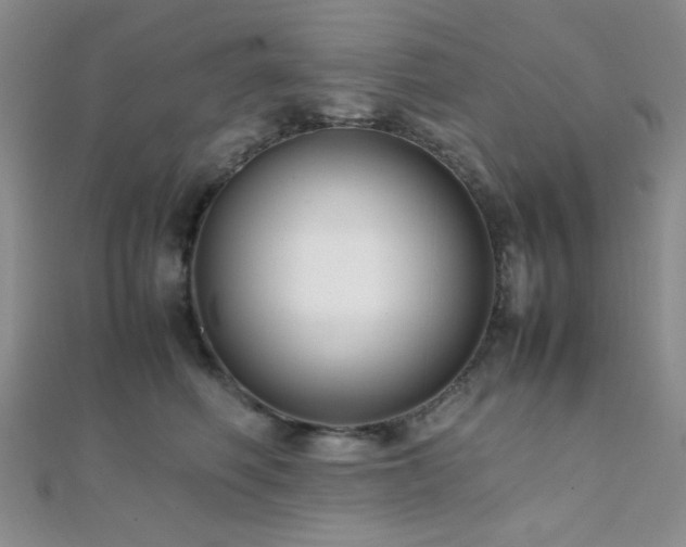 X0000112110614200908041542