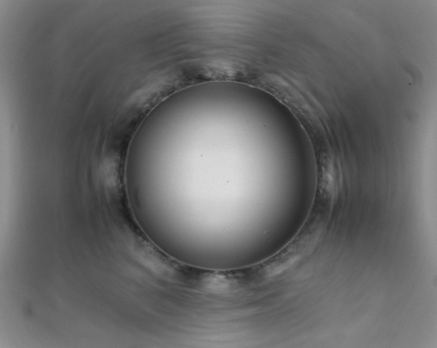 X0000112110616200908041542