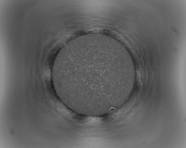 X0000112110617200908041542