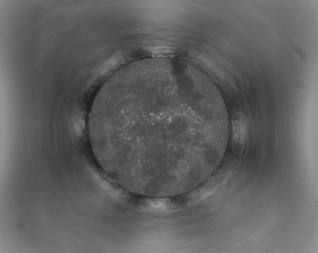 X0000112110618200908041542