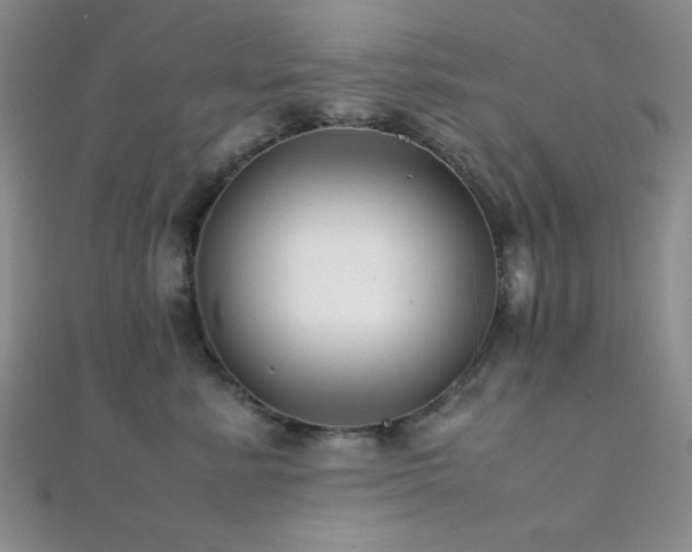 X0000112110619200908041542