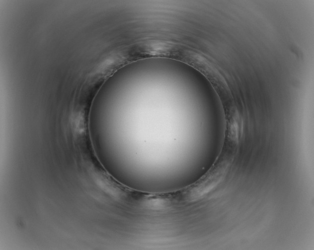 X0000112110620200908041542