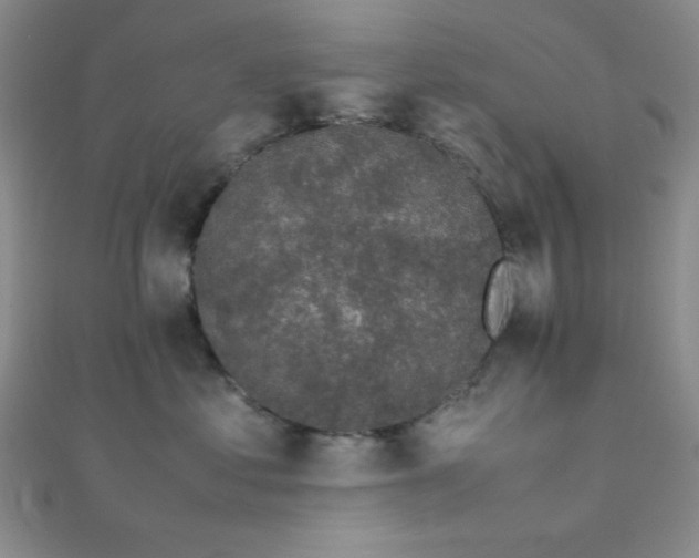 X0000112110621200908041542