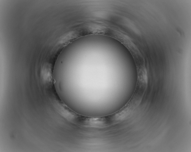 X0000112110622200908041542