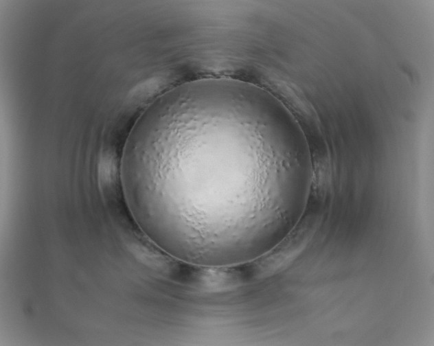 X0000112110623200908041542