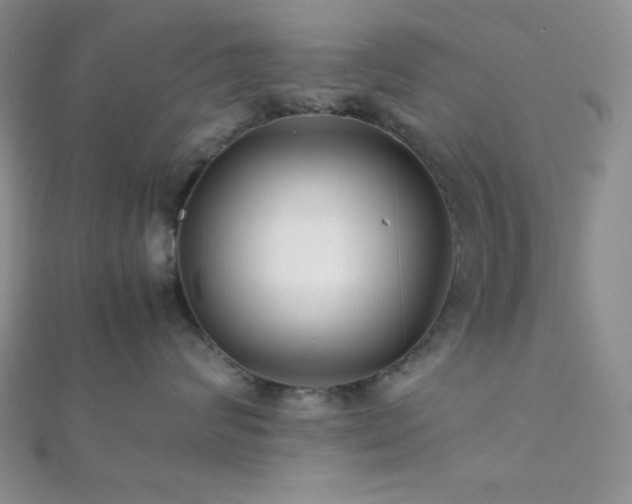 X0000112110624200908041542