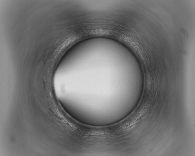 X0000112110625200908041542