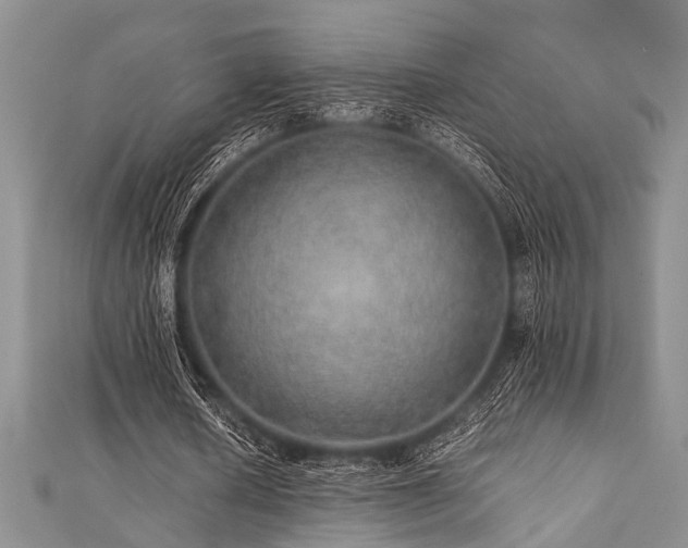 X0000112110626200908041542