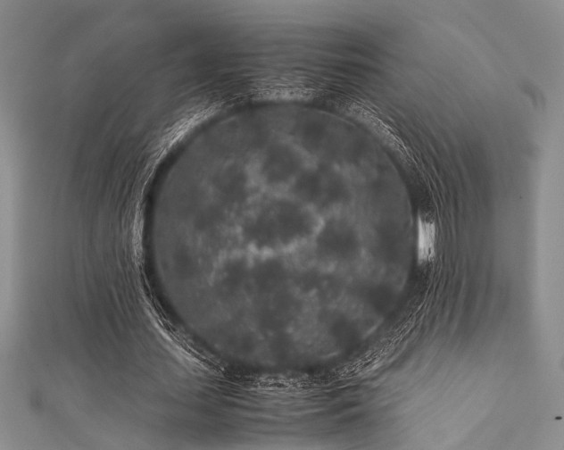 X0000112110627200908041542