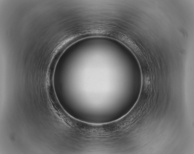 X0000112110628200908041542