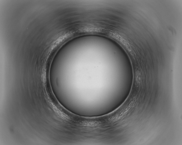 X0000112110629200908041542