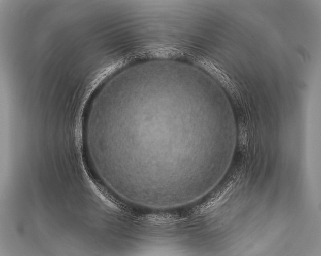 X0000112110630200908041542