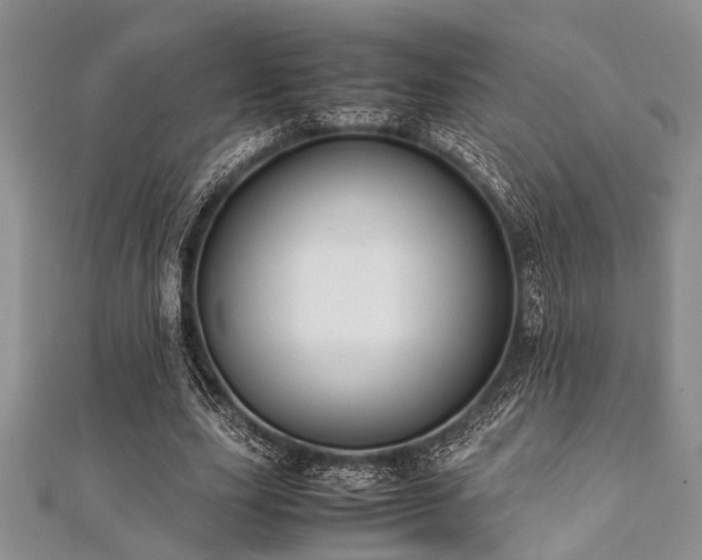 X0000112110631200908041542