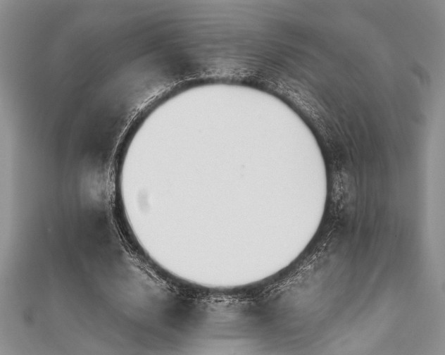 X0000112110632200908041542