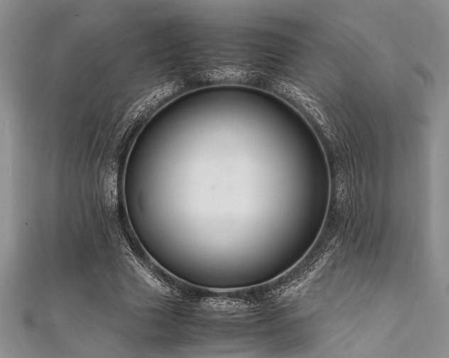 X0000112110633200908041542