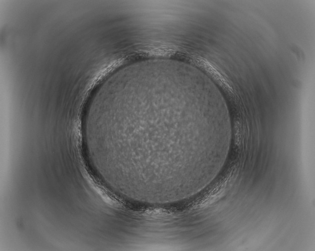 X0000112110634200908041542