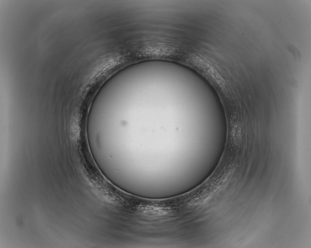 X0000112110635200908041542