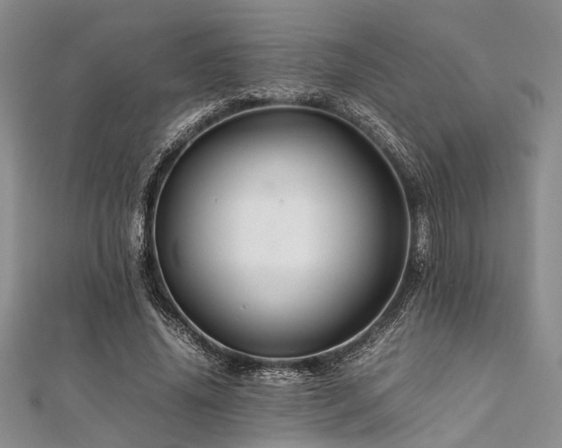 X0000112110636200908041542