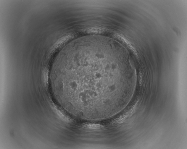 X0000112110637200908041542