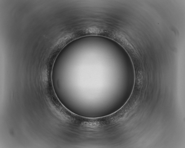 X0000112110639200908041542