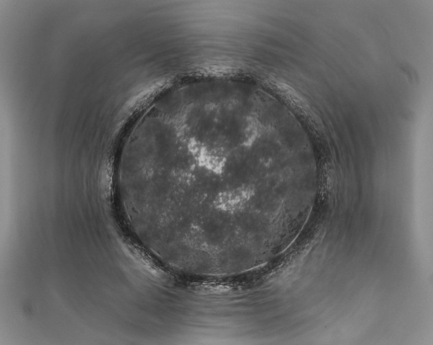 X0000112110640200908041542