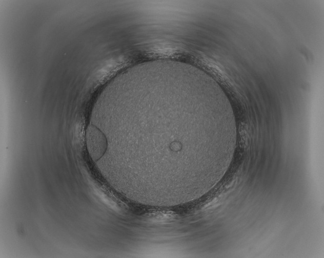 X0000112110642200908041542