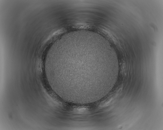 X0000112110643200908041542